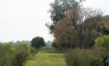Atención Emprendedores! Venta Campo 30 Has. A pocos metros de la Ruta 192 camino mejorado.