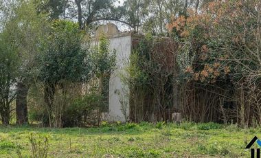 Atención Emprendedores! Venta Campo 30 Has. A pocos metros de la Ruta 192 camino mejorado.