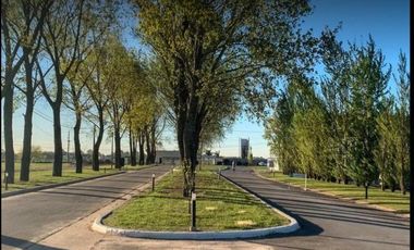 Terreno en venta - 1200mts2 - La Alameda