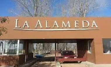 Terreno en venta - 1200mts2 - La Alameda