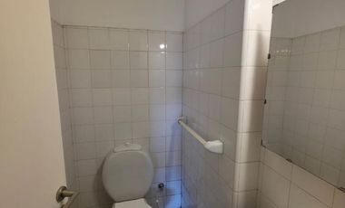 Loria 290