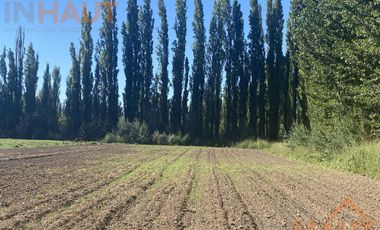 Terreno - Vista Alegre Sur