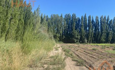 Terreno - Vista Alegre Sur