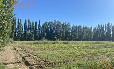 Terreno - Vista Alegre Sur