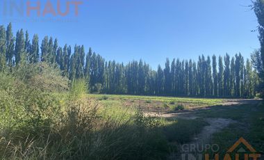 Terreno - Vista Alegre Sur