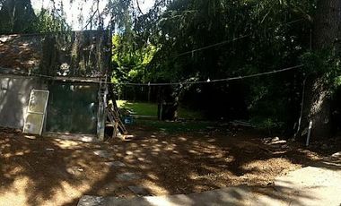 Casa - Platanos