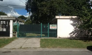 Casa - Platanos