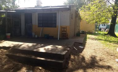 Casa - Platanos
