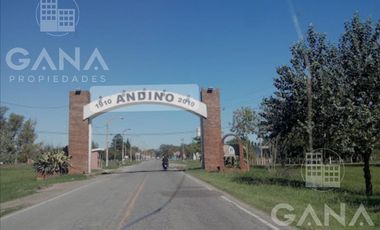 Terreno - Andino