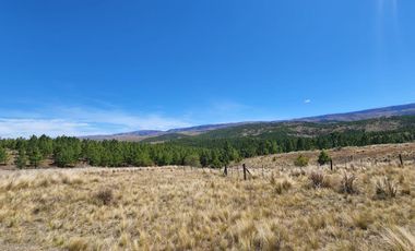 Terreno - Potrero De Garay