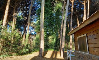 Cariló cod 653 - Vacaciones de verano 2024 - Consulte disponibilidad