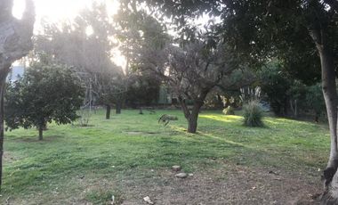 Casa - General Pico