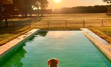 Casa en venta - 4 Dormitorios 3 Baños - Cochera - 1200Mts2 - La Herradura, Pinamar