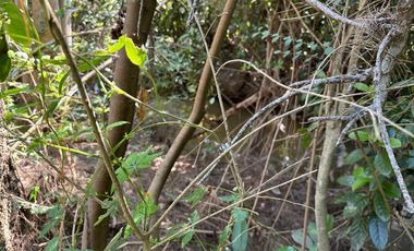 Terreno venta Delta Tigre