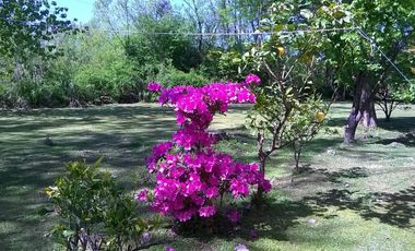 Casa venta Delta Tigre