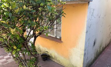 Casa - Longchamps