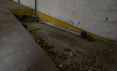 BODEGA COMERCIAL RENTA AMAPOLAS VERACRUZ VERACRUZ