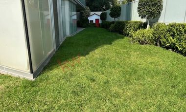 Renta Garden House Lomas de Chapultepec