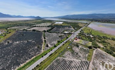 Terreno en venta con o sin restaurante Cerca a Centro Logístico de Jalisco