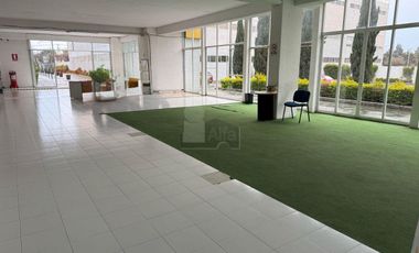 Renta de Locales comerciales con giros relacionados a Wellness Center, Metepec, Estado de México.