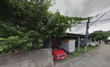 Land for sale in Ton Pao, Chiang Mai