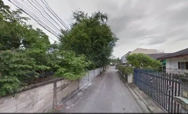 Land for sale in Ton Pao, Chiang Mai