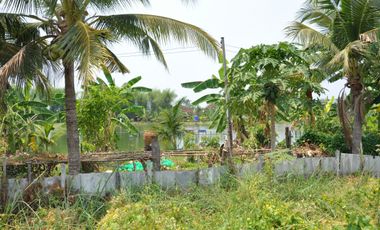 Land for sale in Nong Han, Chiang Mai