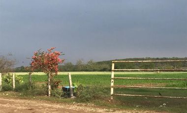 RANCHO EN VENTA LINARES N.L.