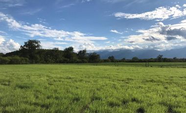 RANCHO EN VENTA LINARES N.L.