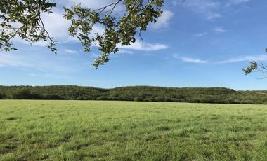 RANCHO EN VENTA LINARES N.L.