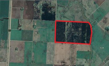 Campo en Ramon Santamarina