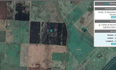 Campo en Ramon Santamarina
