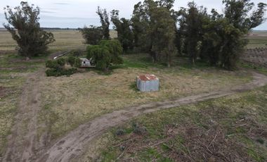 Campo en Ramon Santamarina