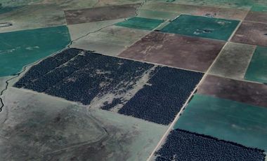Campo en Ramon Santamarina