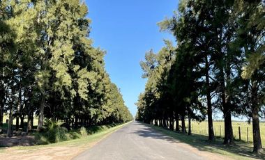 Venta Terreno Haras de Funes Club de Campo