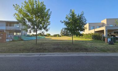 VENTA, LOTE, HARAS SANTA MARIA, EL TREBOL