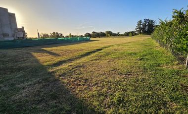 VENTA, LOTE, HARAS SANTA MARIA, EL TREBOL