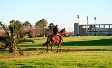 VENTA, LOTE, HARAS SANTA MARIA, EL TREBOL