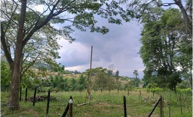 Venta de lotes independientes/Mejor sector de La Mesa Cundi