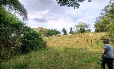 Venta de lotes independientes/Mejor sector de La Mesa Cundi