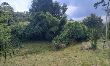 Venta de lotes independientes/Mejor sector de La Mesa Cundi