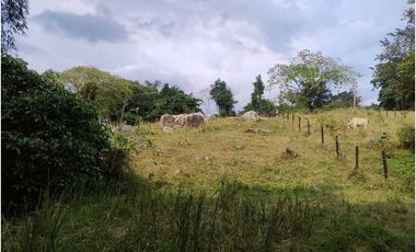 Venta de lotes independientes/Mejor sector de La Mesa Cundi