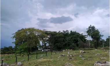 Venta de lotes independientes/Mejor sector de La Mesa Cundi