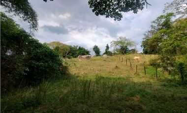 Venta de lotes independientes/Mejor sector de La Mesa Cundi