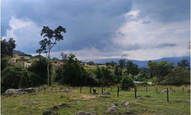 Venta de lotes independientes/Mejor sector de La Mesa Cundi