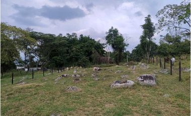 Venta de lotes independientes/Mejor sector de La Mesa Cundi