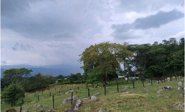 Venta de lotes independientes/Mejor sector de La Mesa Cundi