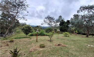 Venta de finca en Santa Elena-Vereda Piedras Blancas