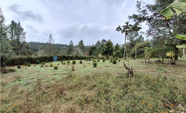 Venta de finca en Santa Elena-Vereda Piedras Blancas