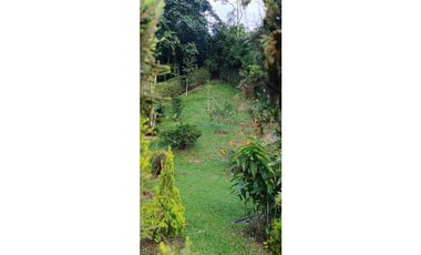 SE VENDE HERMOSA FINCA EN AMAG ANTIOQUIA